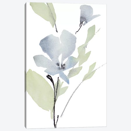 Glowing Blooms I Canvas Print #LNL80} by Lanie Loreth Canvas Print