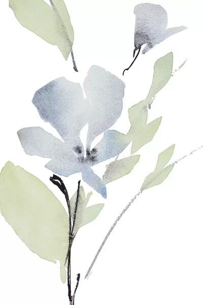 Lanie Loreth: Glowing Blooms I by Lanie Loreth