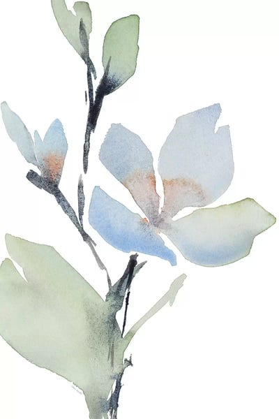 Glowing Blooms II by Lanie Loreth canvas print