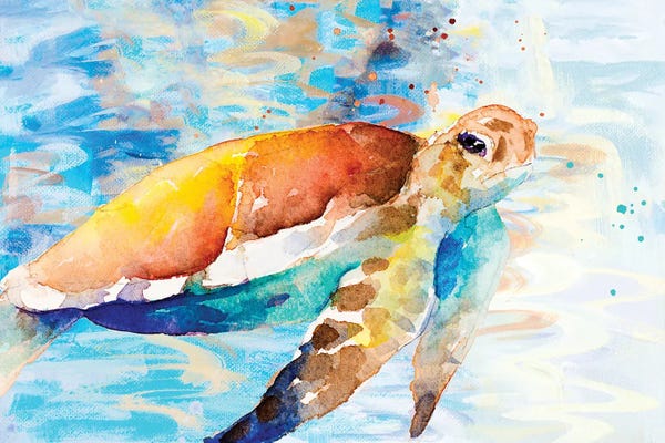 Turtles: Turtle Passing Through I by Lanie Loreth