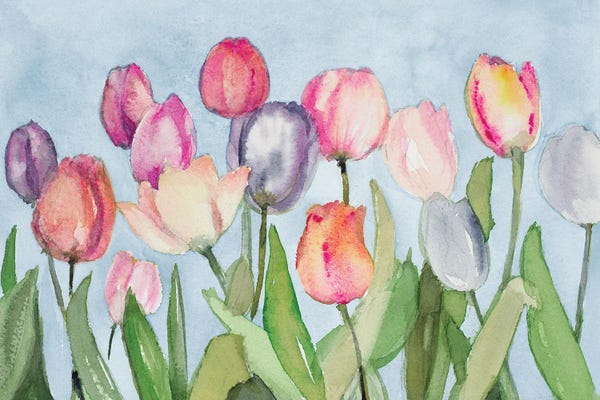 Pastel Colored Tulips In Field