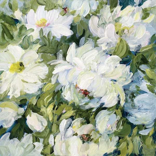 Peony Morning I