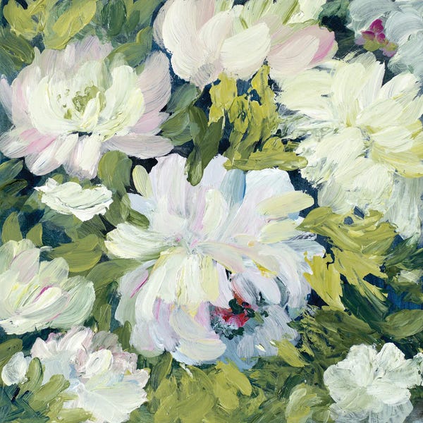 Peony Morning II