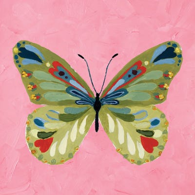 Canvas Print: Butterfly on Pink by Lanie Loreth - thumbnail