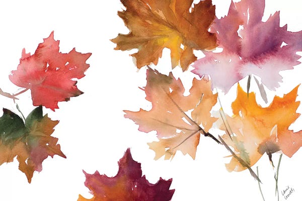 Lanie Loreth: Harvest Leaves II by Lanie Loreth