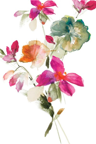 Geranium III