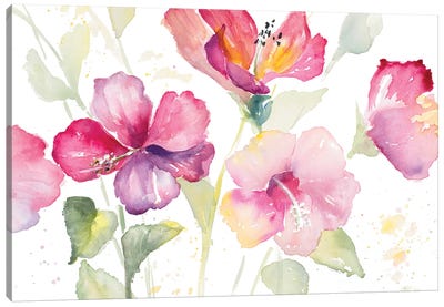 Heavenly Hibiscus Canvas Art Print - Lanie Loreth