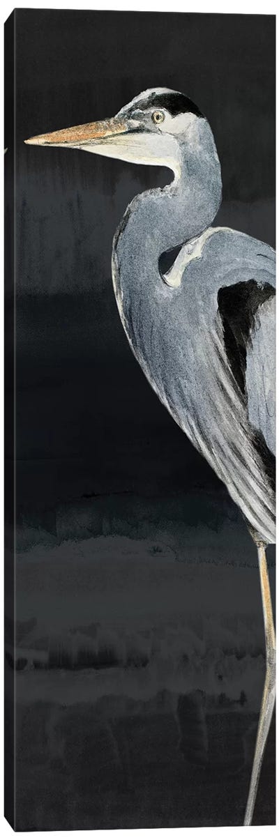 Heron on Black I Canvas Art Print - Lanie Loreth