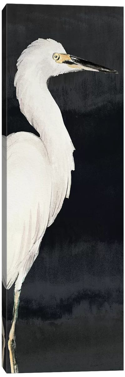 Heron on Black II Canvas Art Print - Lanie Loreth