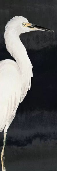 Black & White: Heron on Black II by Lanie Loreth