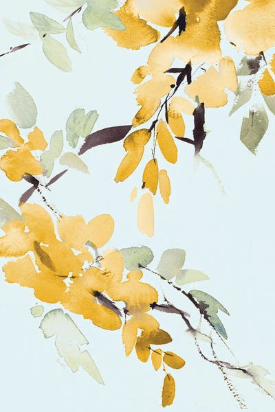 Lanie Loreth: Yellow Wisteria II by Lanie Loreth