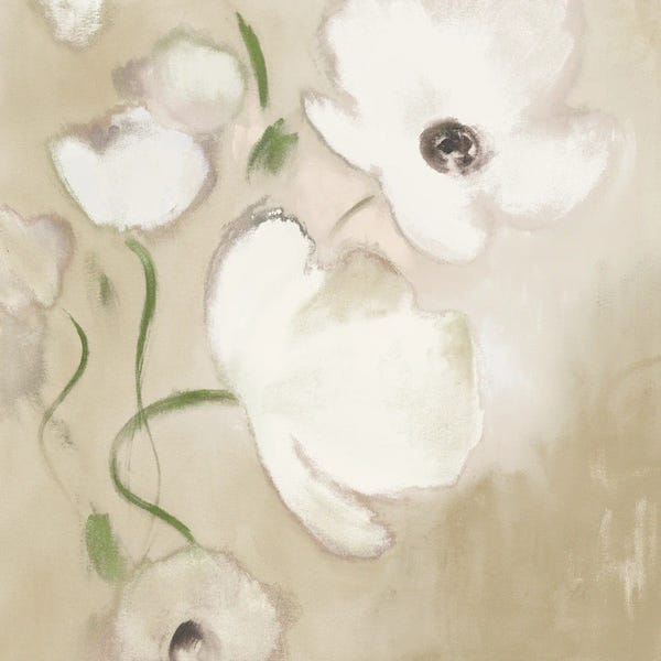 Lanie Loreth: Restful White Poppies I by Lanie Loreth