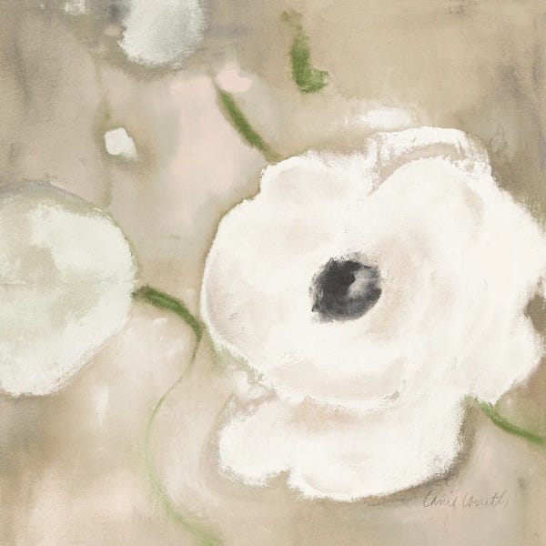 Restful White Poppies II
