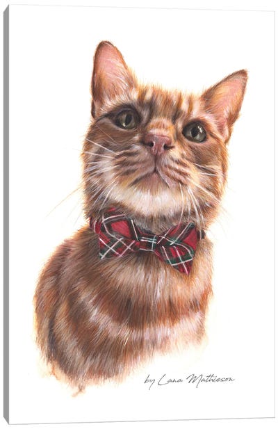 Rupert Of Gloucestershire Canvas Art Print - Orange Cat Art