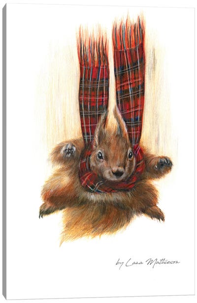 Skydiving In Scotland Canvas Art Print - Rodent Art