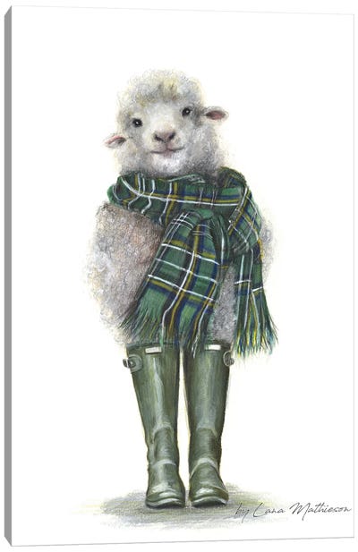 Spring In Scotland Canvas Art Print - Sheep Art