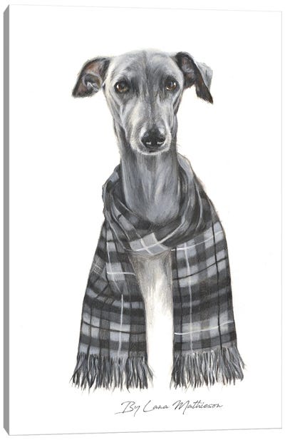 The Grey Buchanan Canvas Art Print - Greyhound Art