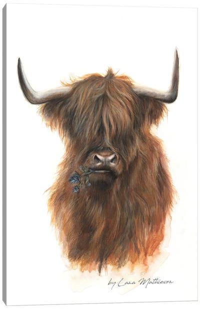 The Jaggy Thistle Coo Canvas Art Print - Highland Cow Art