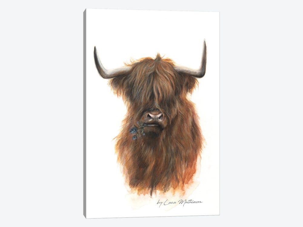 The Jaggy Thistle Coo by Lana Mathieson 1-piece Canvas Art Print