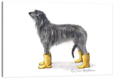 The Yellow Welly Deerhound Canvas Art Print - Lana Mathieson