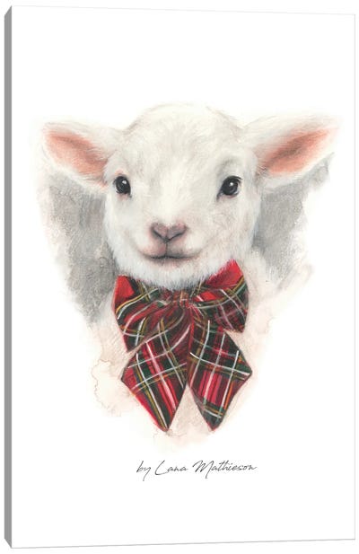Wee Lamb Canvas Art Print - Lana Mathieson