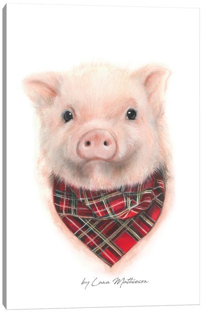 Wee Piggy Canvas Art Print - Lana Mathieson