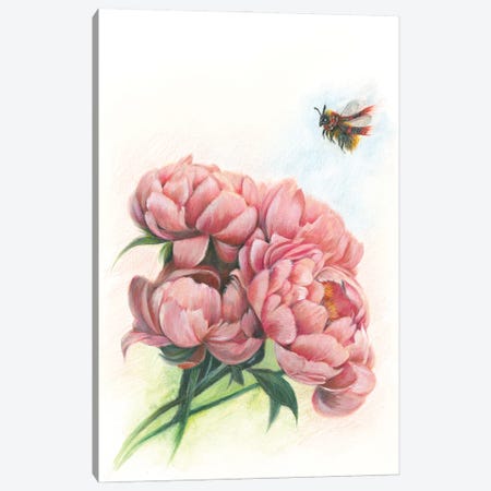 Will You Bee My Peony Canvas Print #LNM41} by Lana Mathieson Canvas Artwork