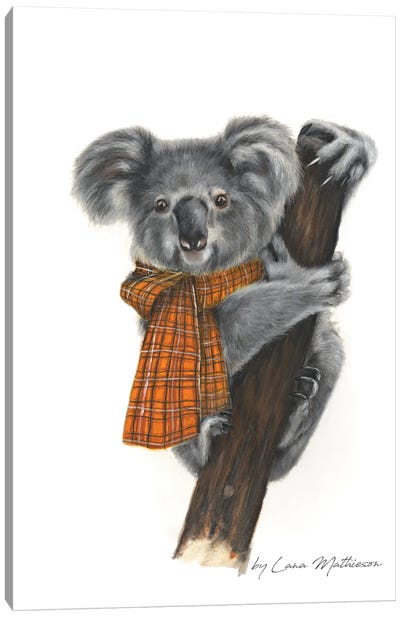 Bruce Canvas Art Print - Koala Art
