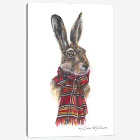 The Hare Of Ardrishaig Canvas Print #LNM56} by Lana Mathieson Canvas Artwork
