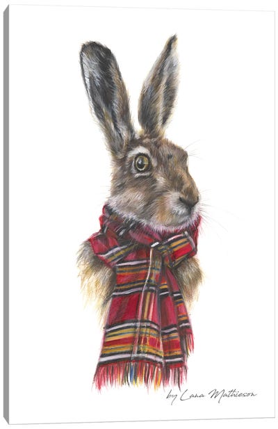 The Hare Of Ardrishaig Canvas Art Print - Lana Mathieson