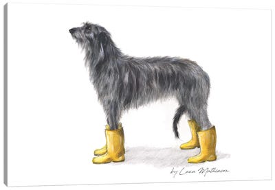 Yellow Welly Deerhound Canvas Art Print - Lana Mathieson