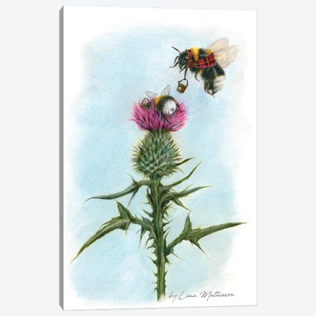 BUMblebees Canvas Print #LNM62} by Lana Mathieson Canvas Artwork