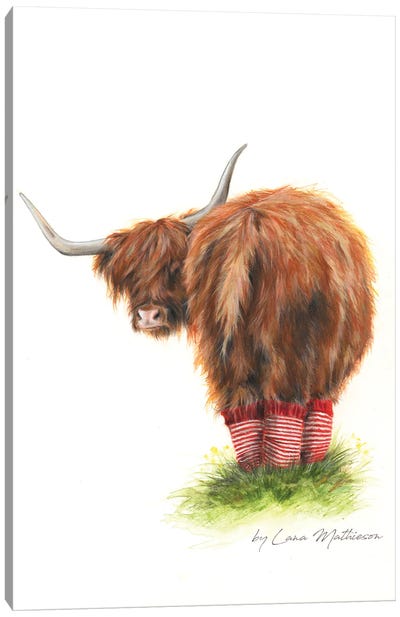 Highland Hygge Canvas Art Print - Highland Cow Art