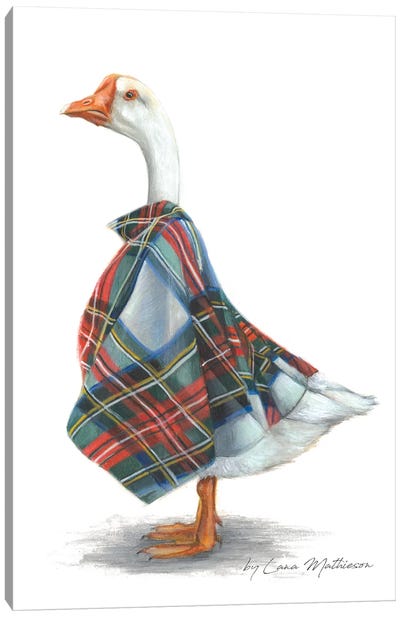 Dame Goose Of Glenfinnan Canvas Art Print - Goose Art