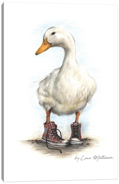 Duck In Chucks Canvas Art Print