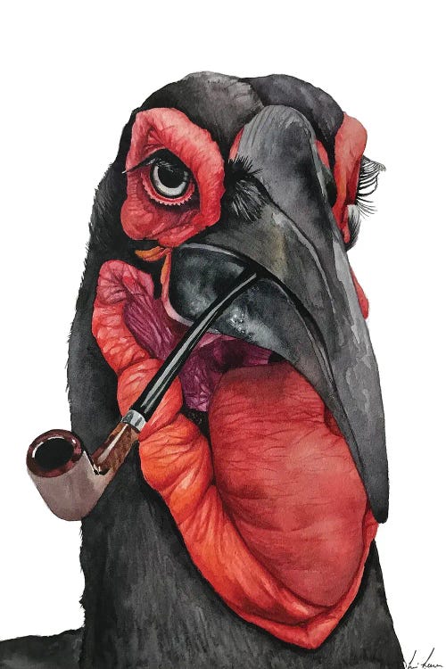 Ground Hornbill With A Pipe