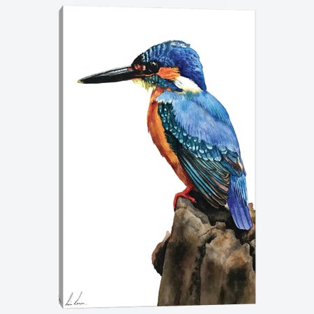 Kingfisher Canvas Print #LNN11} by Lisa Lennon Canvas Artwork