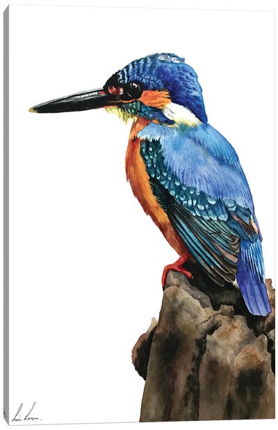 Kingfisher Canvas Art Print - The Art of the Feather