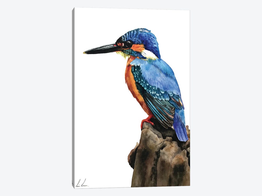 Kingfisher by Lisa Lennon 1-piece Canvas Art