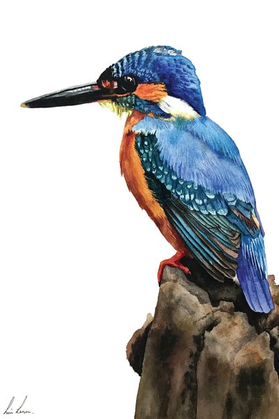 The Art Of The Feather: Kingfisher by Lisa Lennon