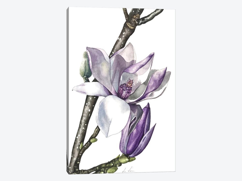 Magnolia by Lisa Lennon 1-piece Art Print