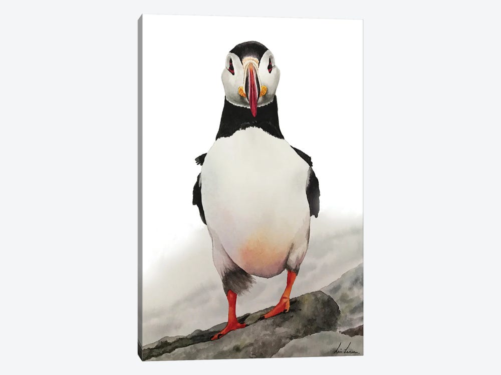Puffin by Lisa Lennon 1-piece Canvas Print