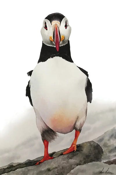 Lisa Lennon: Puffin by Lisa Lennon