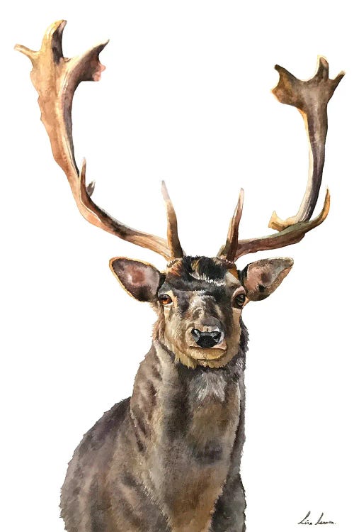 Stag