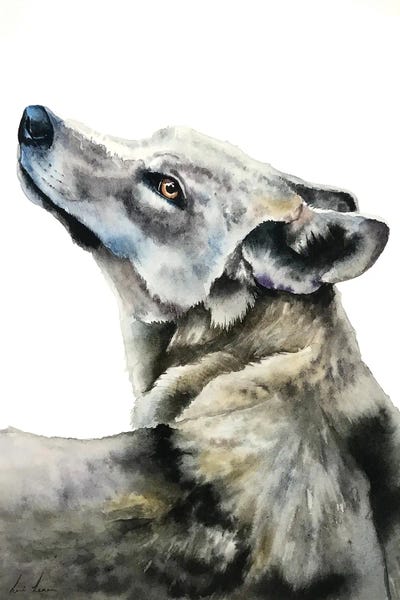 Wolf by Lisa Lennon canvas print