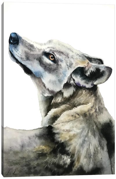 Wolf Canvas Art Print - Lisa Lennon
