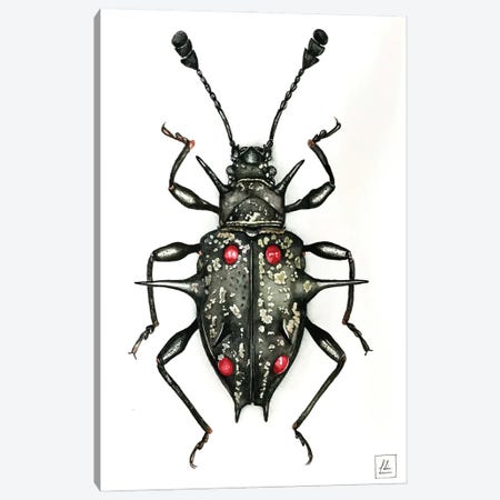 Black Bug Canvas Print #LNN26} by Lisa Lennon Canvas Artwork