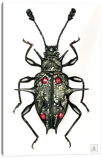 Black Bug Canvas Art Print - Beetle Art