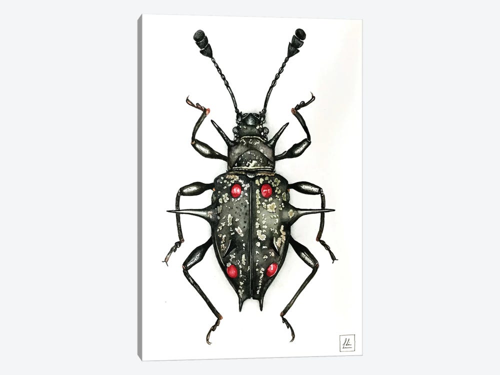 Black Bug by Lisa Lennon 1-piece Canvas Art
