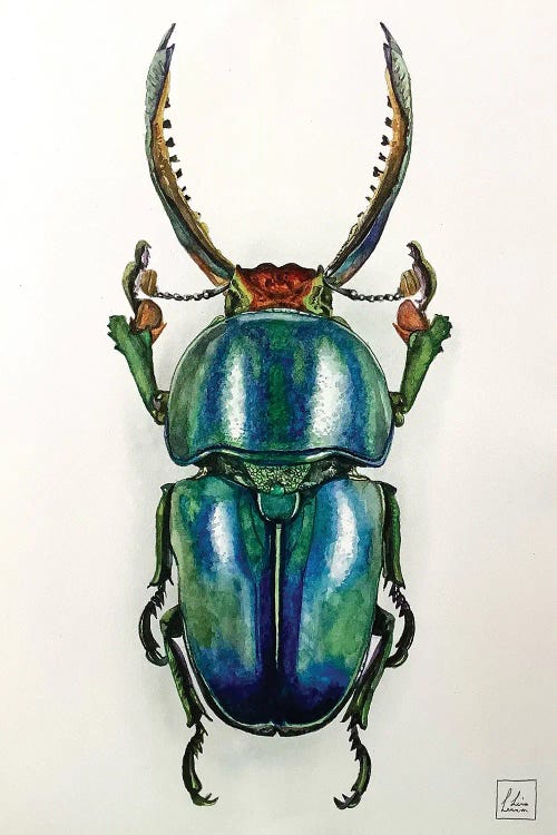 Blue Bug